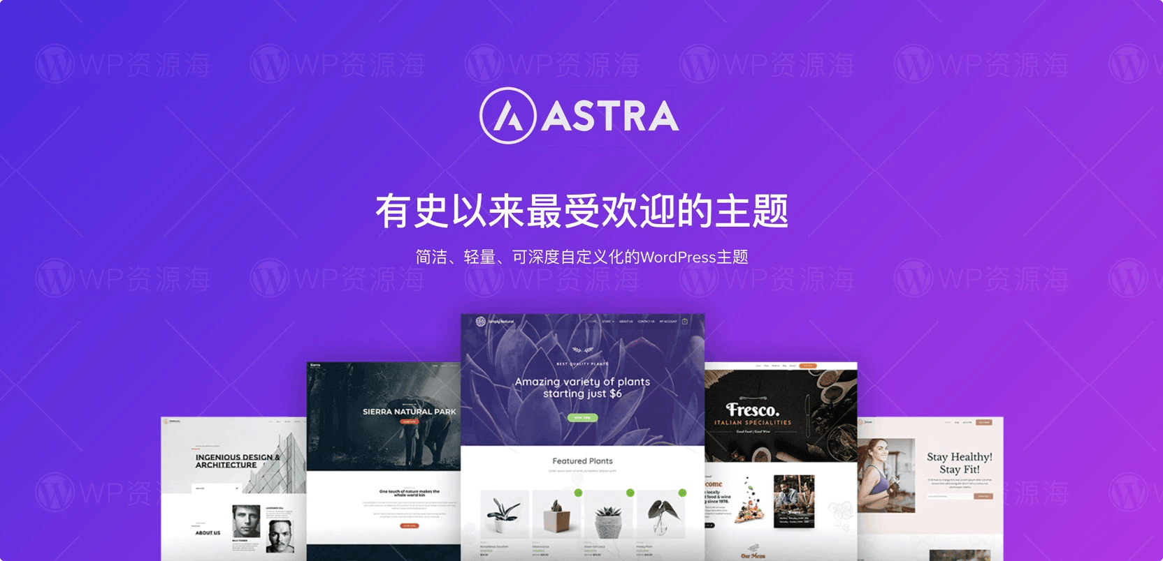 【正版】Astra Growth Bundle 全套正版key激活终身永久授权支持在线更新封面图