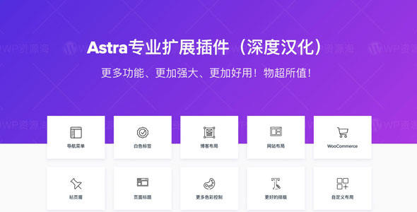 【正版】Astra Pro-Astra主题高级功能扩展插件封面图