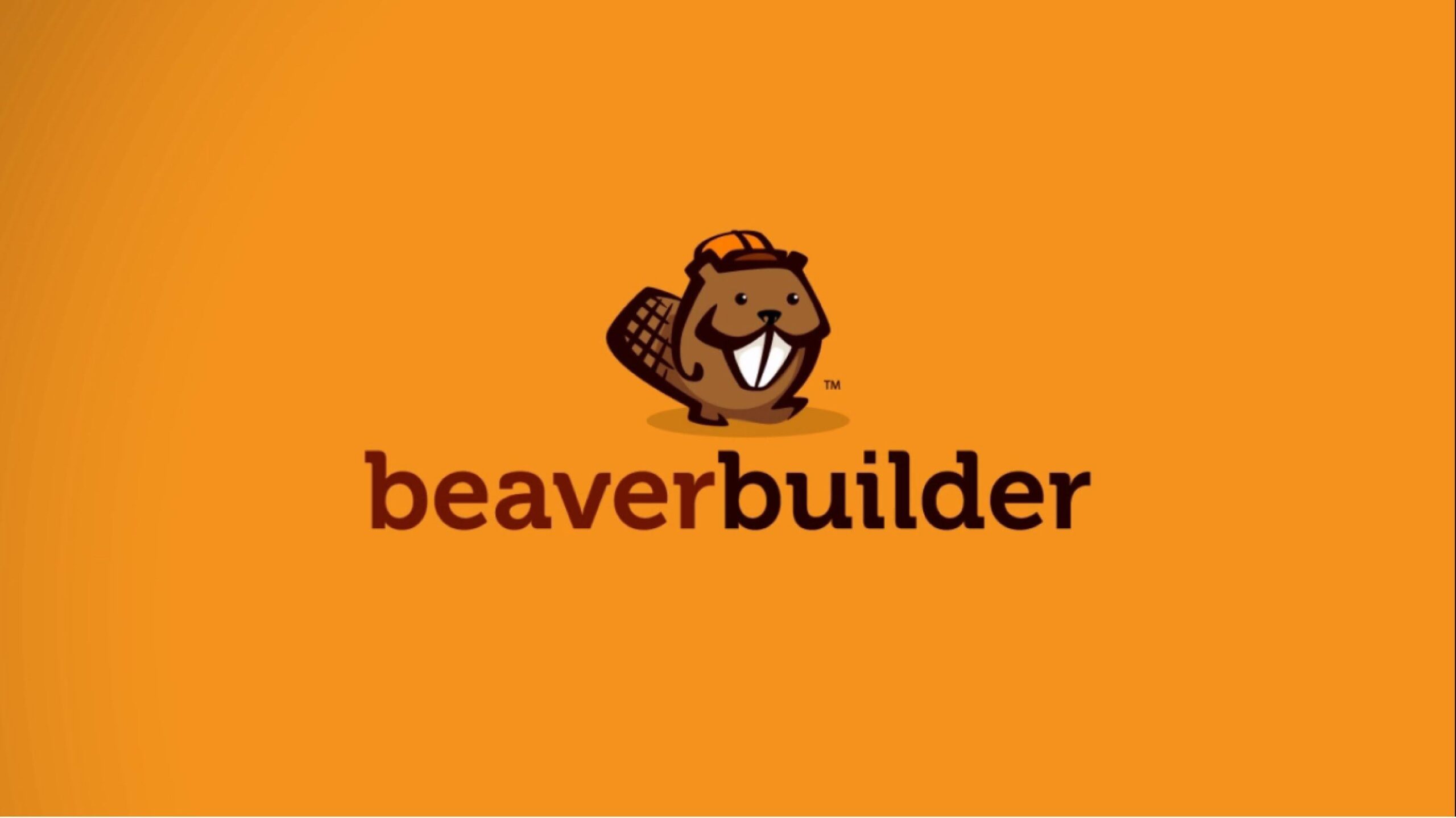 Beaver Builder-海狸可视化编辑器WordPress插件[更至v2.8.4.1]封面图